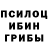 Псилоцибиновые грибы мухоморы KorteZZ Lambda