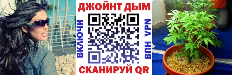 Купить  Майский  Каннабис сатива 